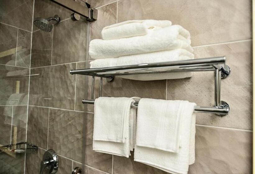 带大床的豪华间, Days Inn By Wyndham Bronx Nyc