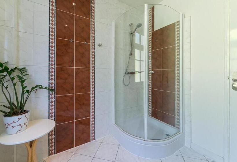 اتاق استاندارد با سرویس بهداشتی مشترک, B&b De Hofnar Maastricht