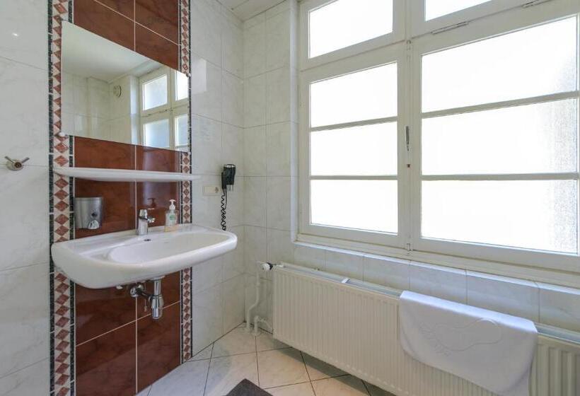 اتاق استاندارد با سرویس بهداشتی مشترک, B&b De Hofnar Maastricht