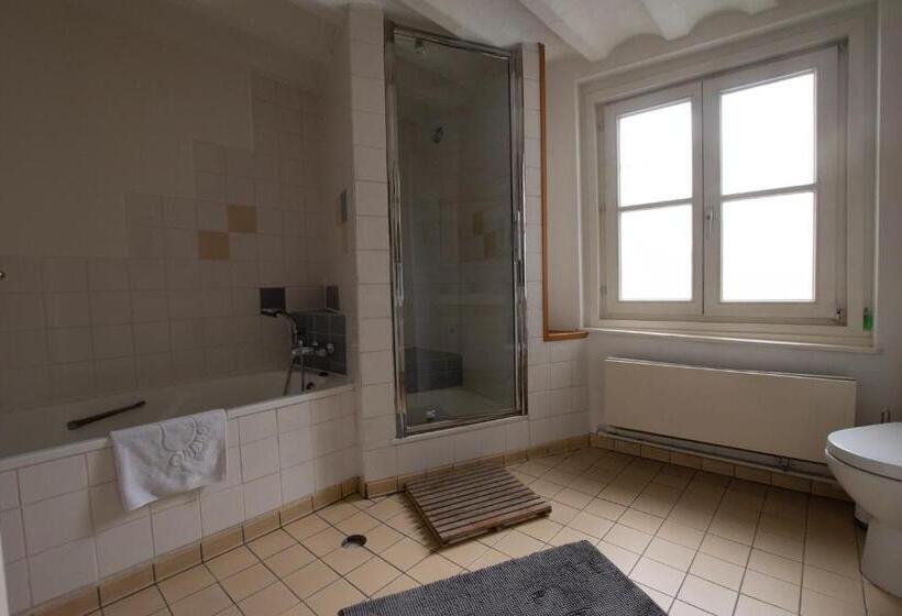 اتاق استاندارد با سرویس بهداشتی مشترک, B&b De Hofnar Maastricht