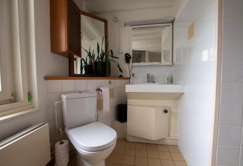 اتاق استاندارد با سرویس بهداشتی مشترک, B&b De Hofnar Maastricht