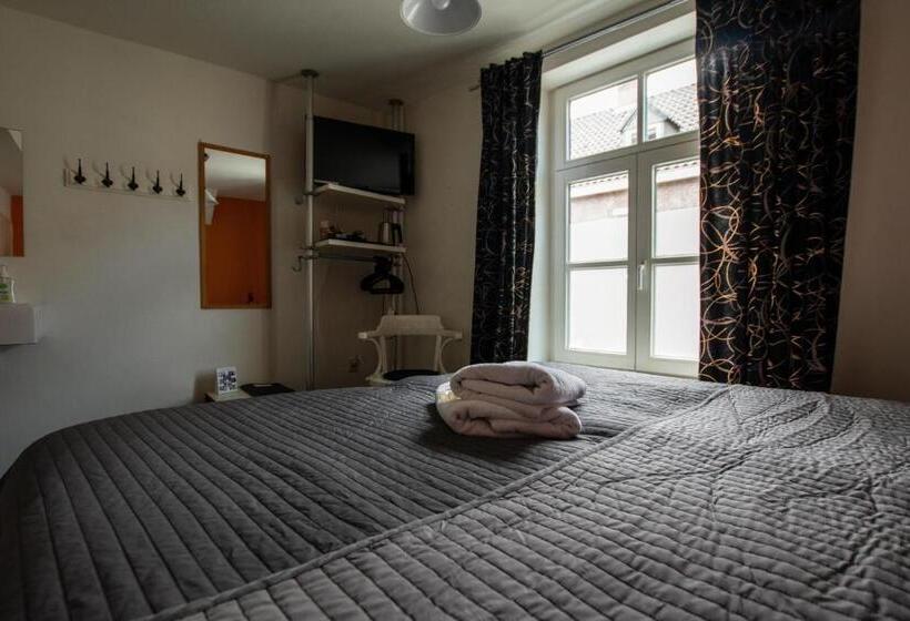 اتاق استاندارد با سرویس بهداشتی مشترک, B&b De Hofnar Maastricht