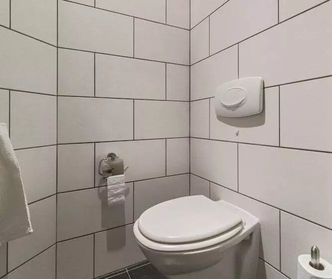 اتاق استاندارد با سرویس بهداشتی مشترک, B&b De Hofnar Maastricht
