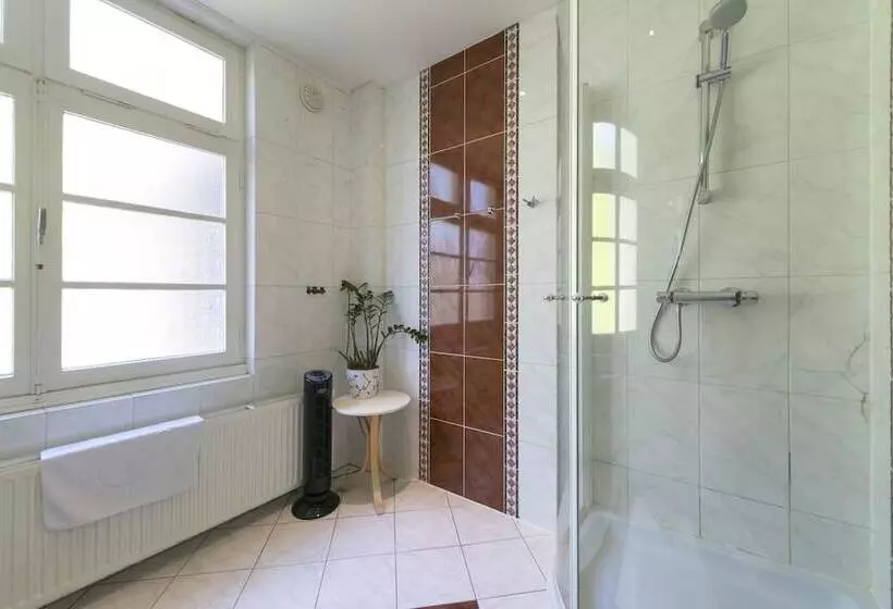 اتاق استاندارد با سرویس بهداشتی مشترک, B&b De Hofnar Maastricht