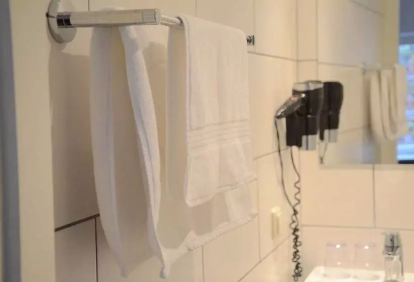 اتاق استاندارد, B&b De Hofnar Maastricht