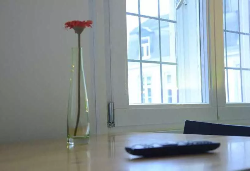 اتاق استاندارد, B&b De Hofnar Maastricht