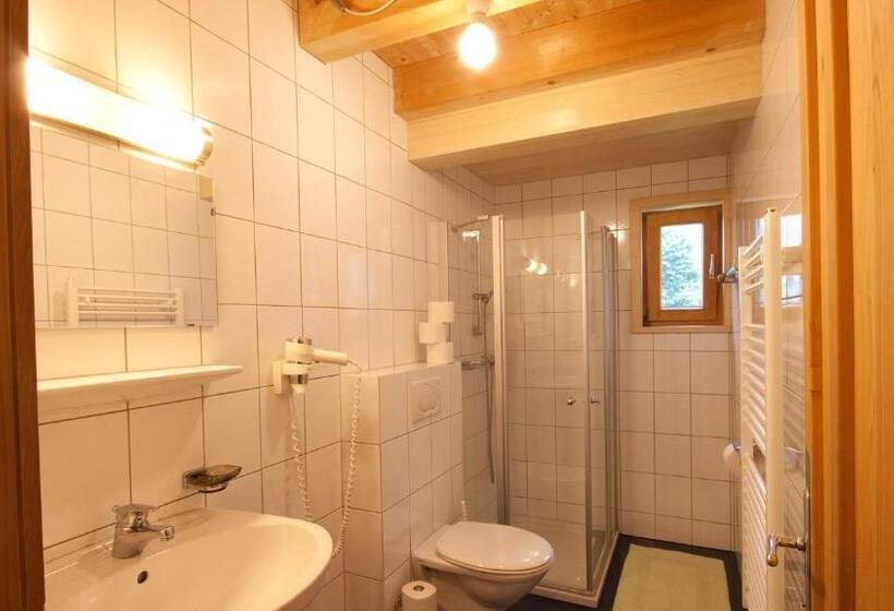 آپارتمان 1 خوابه با تراس, Nigschhof