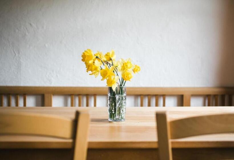 آپارتمان 2 خوابه, Nigschhof