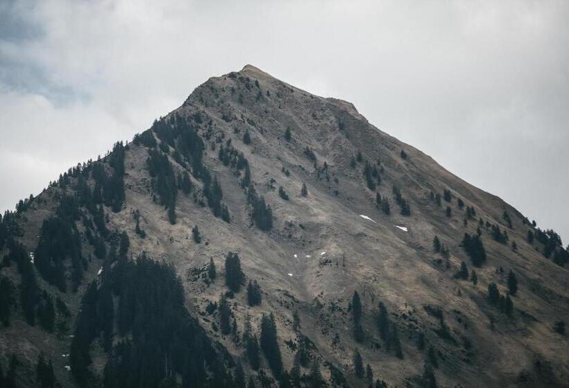 آپارتمان 2 خوابه, Nigschhof