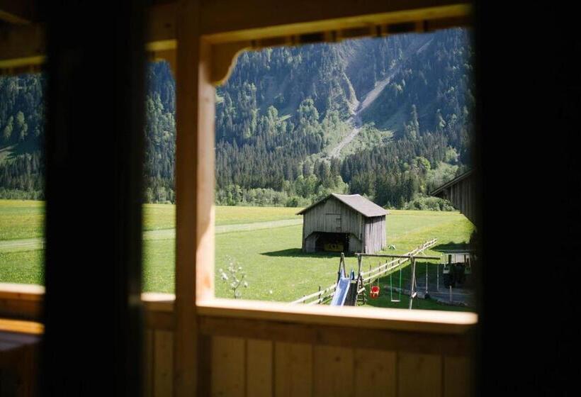 آپارتمان 1 خوابه با بالکن, Nigschhof