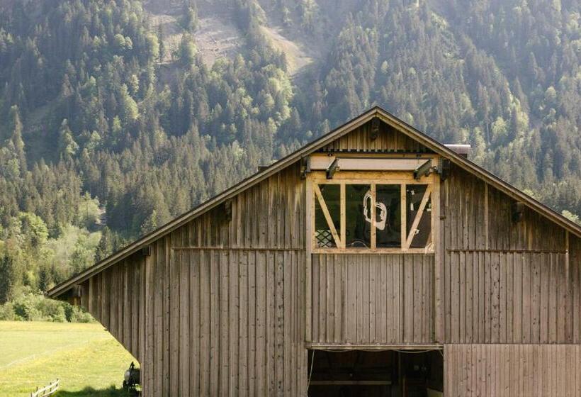 آپارتمان 1 خوابه با بالکن, Nigschhof