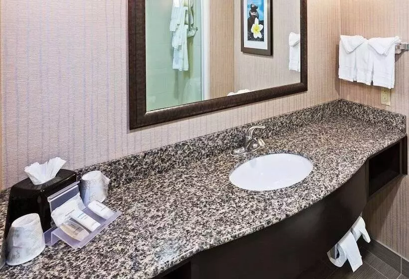 身障者適用スイートルーム, Hilton Garden Inn West Little Rock