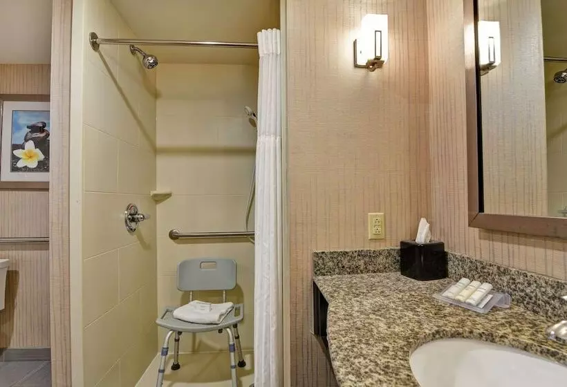身障者適用スイートルーム, Hilton Garden Inn West Little Rock