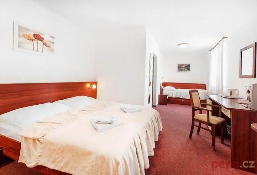 اتاق استاندارد, Marieluisa