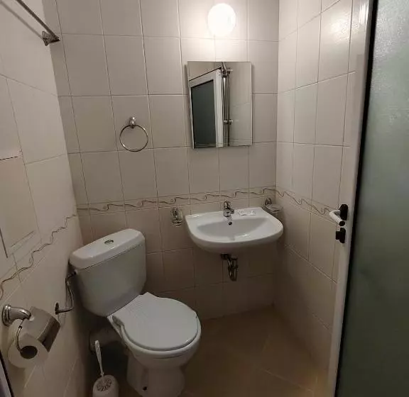 اتاق اکونومی, Sandor