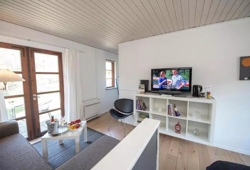 Camera Premium, Skovly