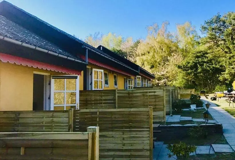 Camera Standard, Skovly