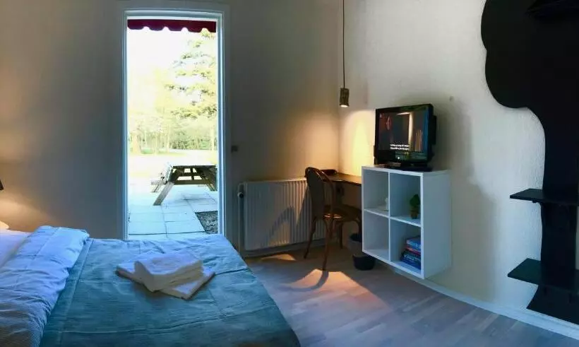 Camera Standard, Skovly