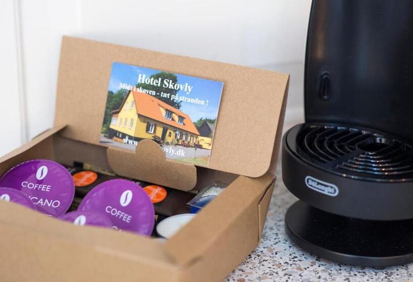 דירת חדר דלוקס, Skovly