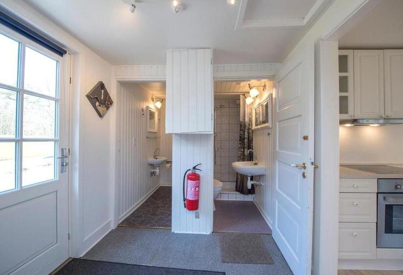 דירת חדר דלוקס, Skovly