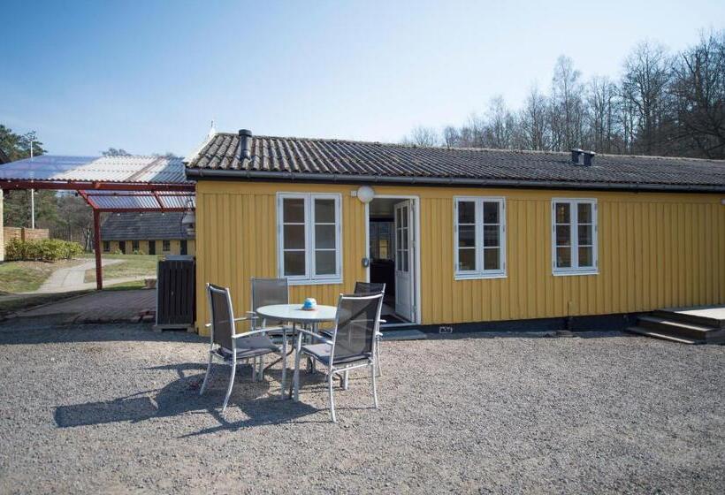 דירת חדר דלוקס, Skovly