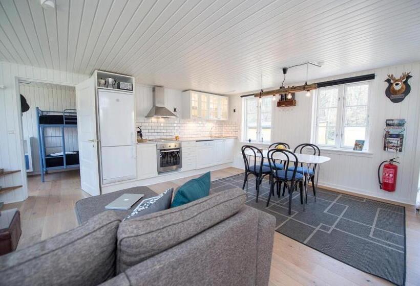 דירת חדר דלוקס, Skovly