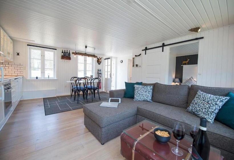 1ベッドルームのデラックスアパートメント, Skovly