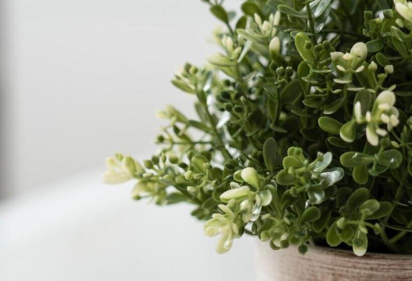 חדר קומפורט, De Heek