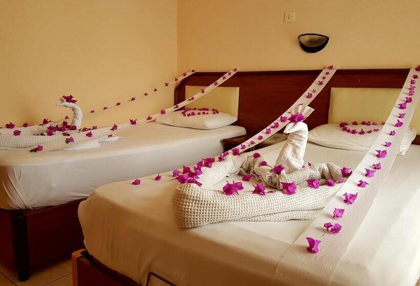 침실 1개 아파트, Palmen Apart