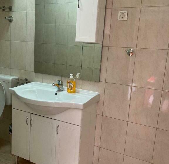 اتاق استاندارد, Mir