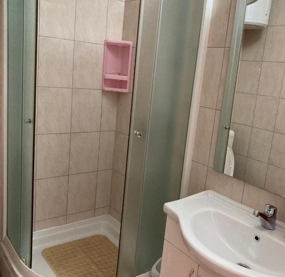 اتاق استاندارد, Mir