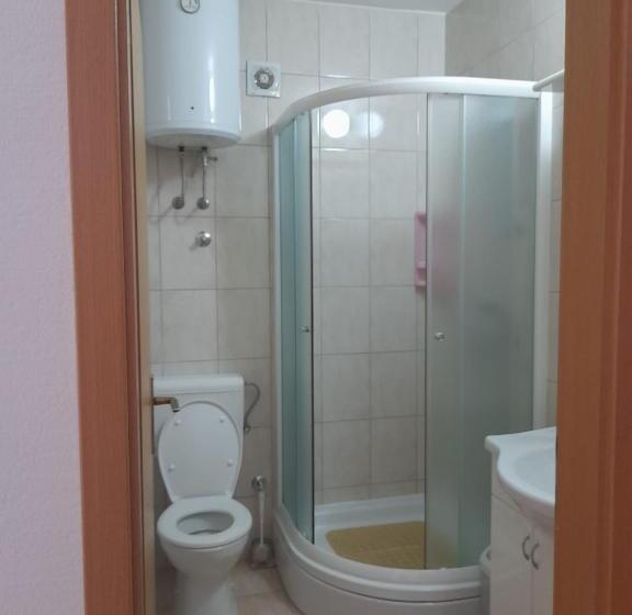 اتاق استاندارد, Mir