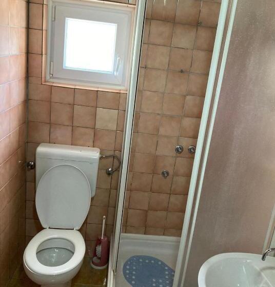 اتاق استاندارد سه نفره, Mir