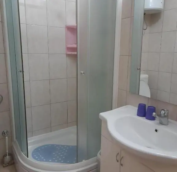 اتاق استاندارد, Mir