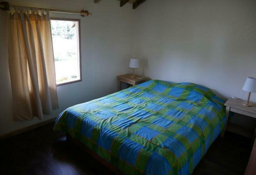 스탠다드 룸, Hostal Quillelhue