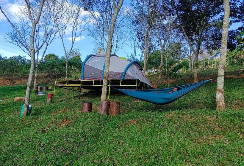 エコノミールーム, Agronest Farm & Resort By Teal Luxury Stay