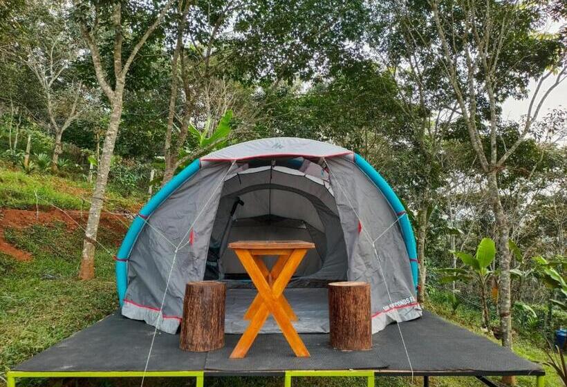 エコノミールーム, Agronest Farm & Resort By Teal Luxury Stay