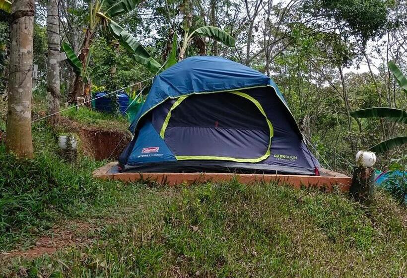 Standard Tent, Agronest Farm & Resort By Teal Luxury Stay