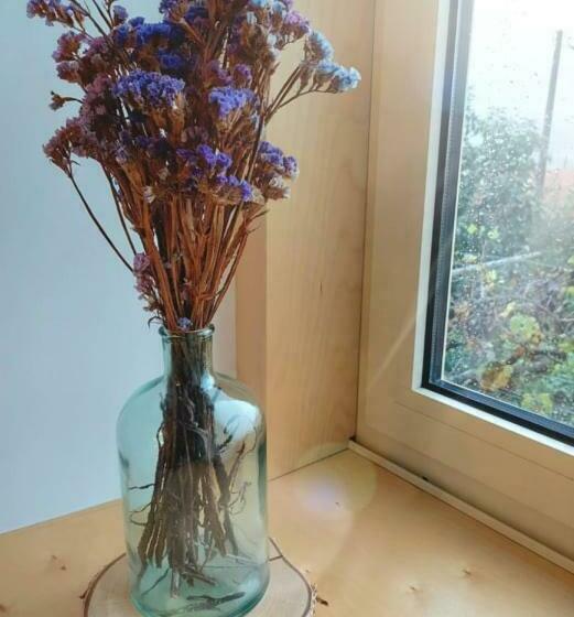 家庭间, Quinta Da Quinhas