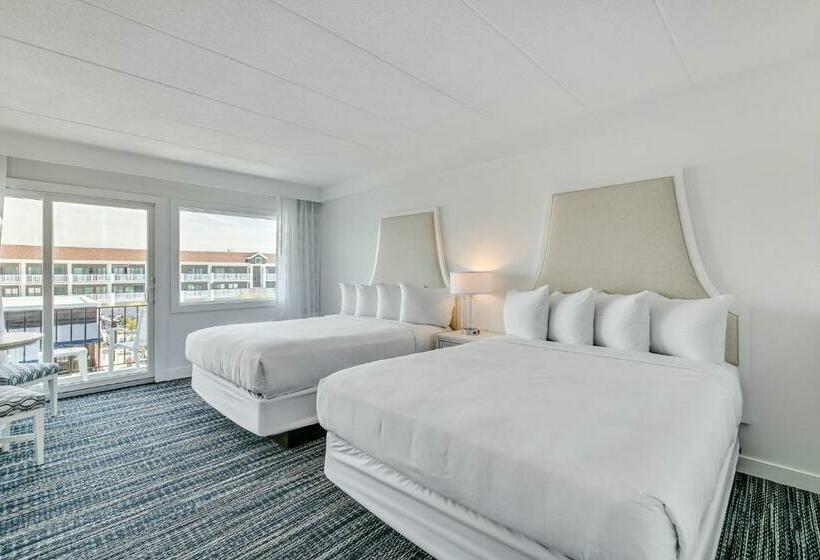 غرفة قياسية مزوَّدة بتراس, Icona Windrift