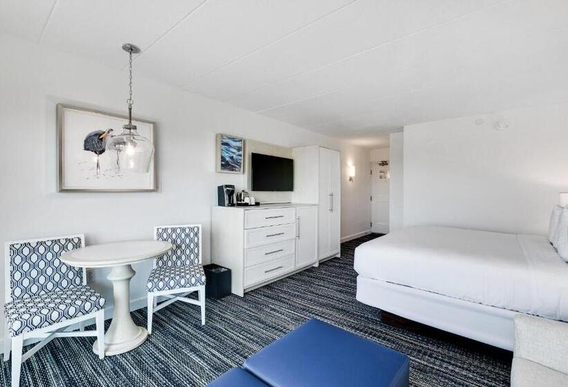 إستوديو قياسى سرير كينج, Icona Windrift