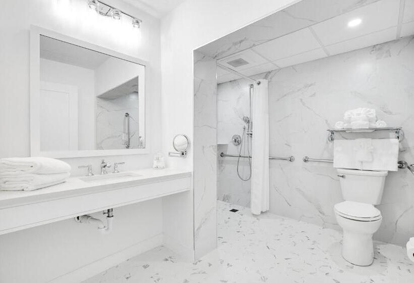 إستوديو قياسى, Icona Windrift