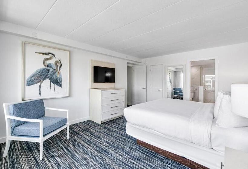 جناح, Icona Windrift