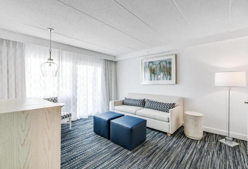 جناح غرفتين نوم, Icona Windrift