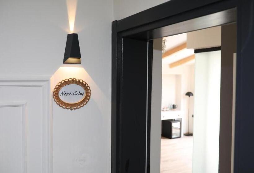 اتاق استاندارد با تخت بزرگ, Afi̇lli̇ Köşk