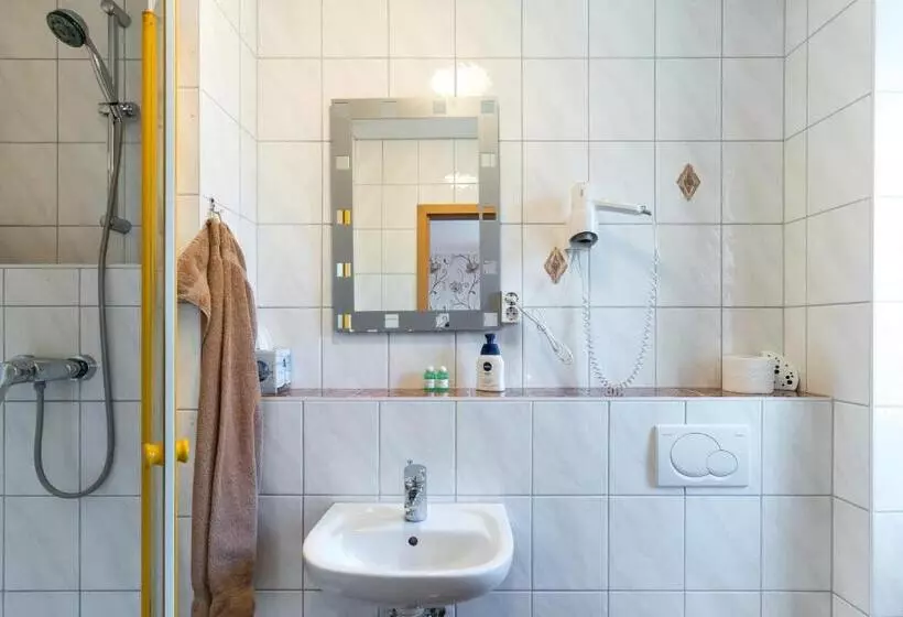 Standard Yhden Hengen Huone, Adler