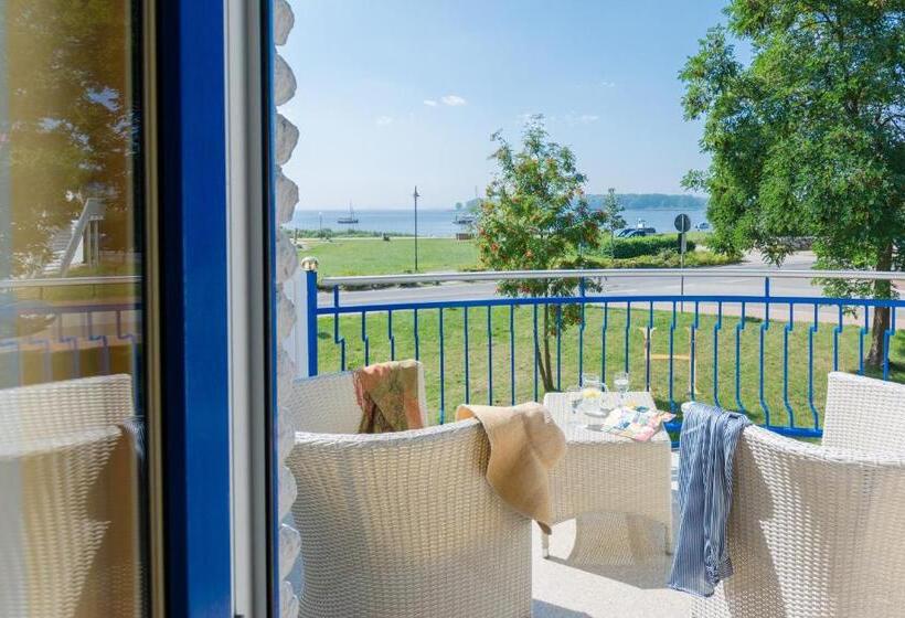 جناح جونيور, Haffidyll Garni