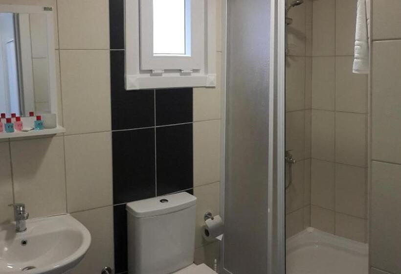 豪华房间, Payidar