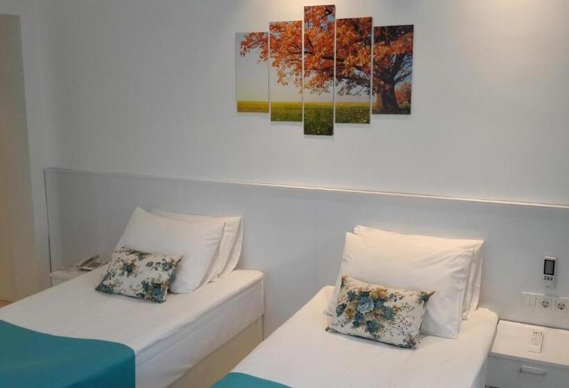 豪华房间, Payidar