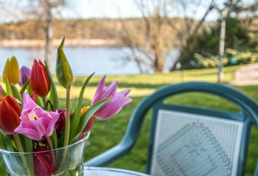 스탠다드 테라스 룸, Garni Seehotel Mühlenhaus